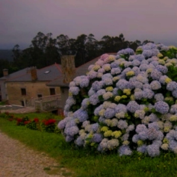 florero