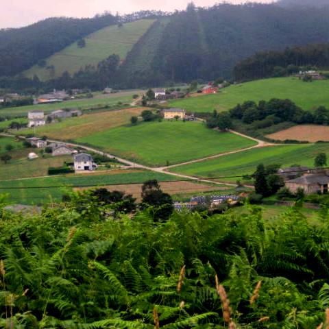 valle