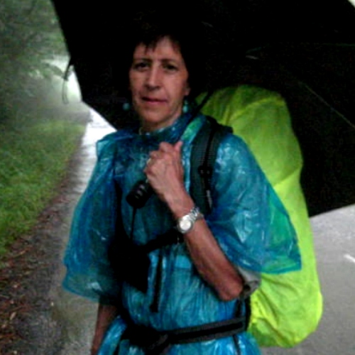 Lluvia