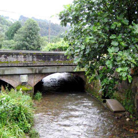 Pontella