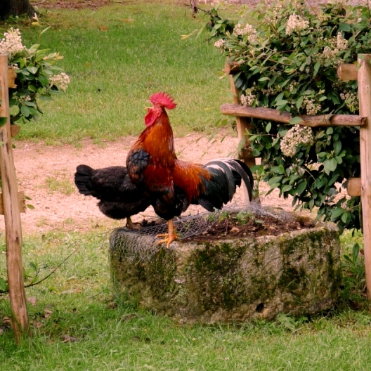 Hórreo