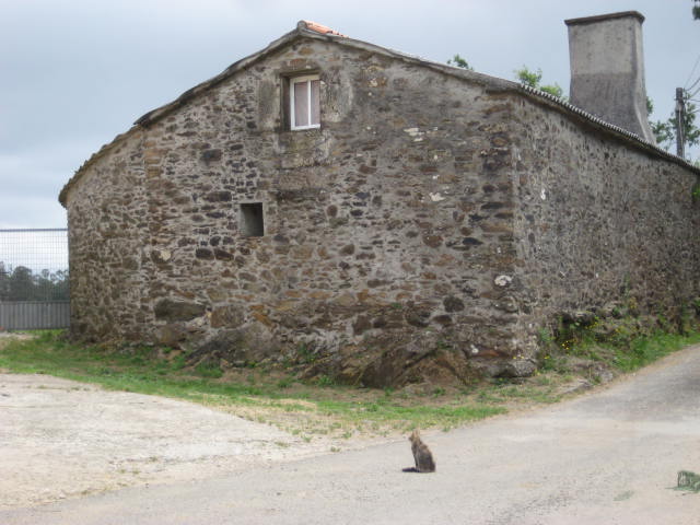 Cato