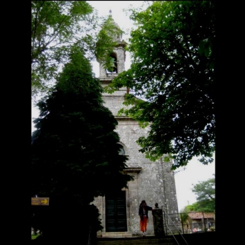 Sabugueira
