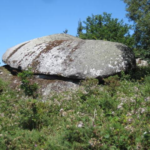 txapela