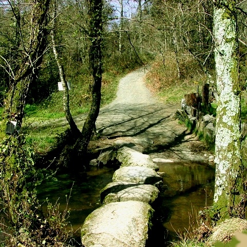 Pontella