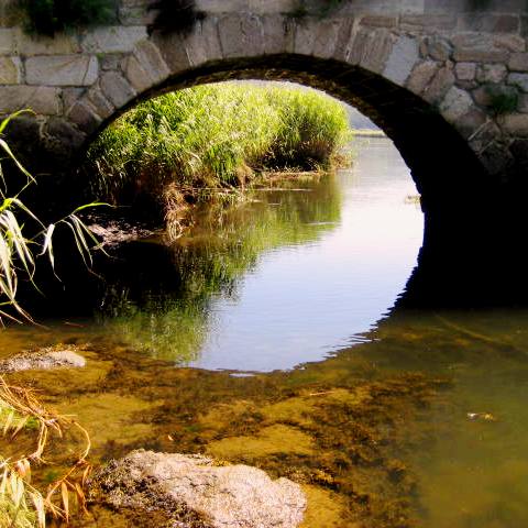 Pazo Moreno