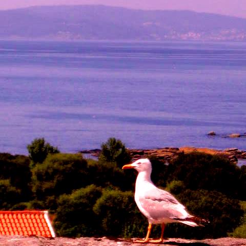 Balcon