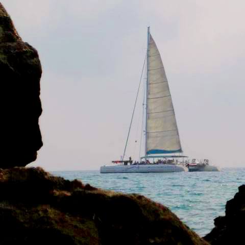 Cova